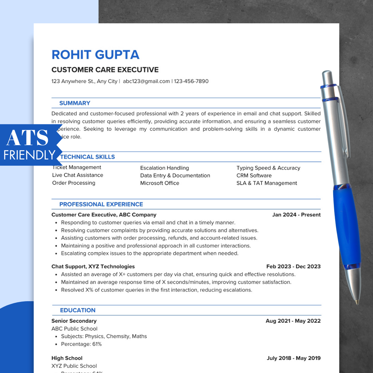 Professional Modern Resume Template